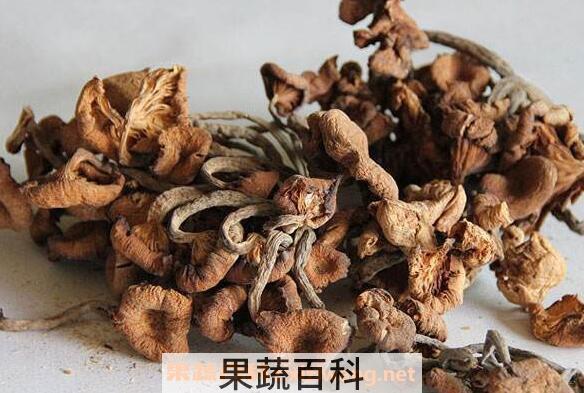 青杠菌的功效与作用 青杠菌的食用方法
