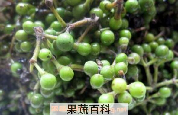 木姜子怎么泡才好吃 木姜子用酱油泡的做法