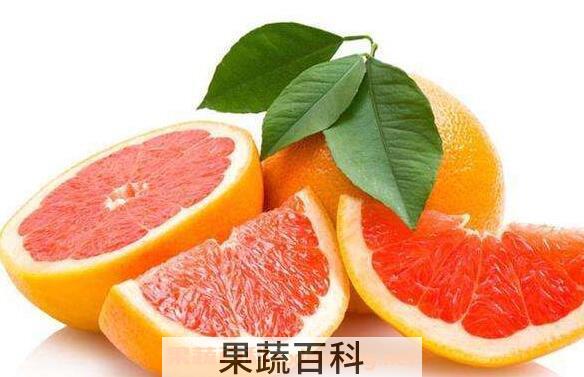 葡萄柚的功效与作用 吃葡萄柚有什么好处