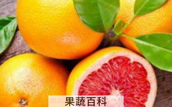 葡萄柚怎么吃好吃 葡萄柚的食用方法