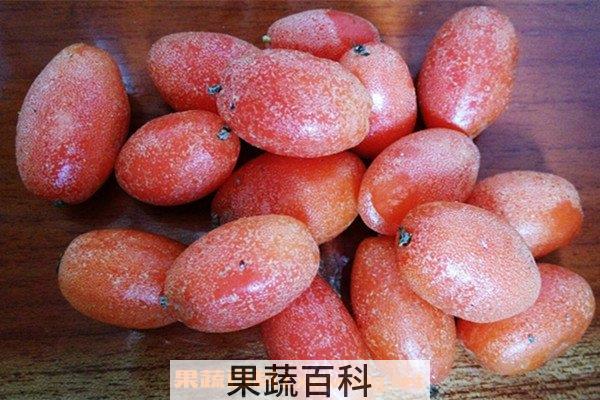 羊奶果