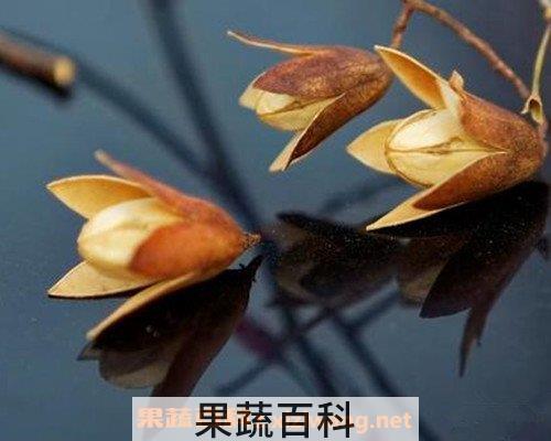 香铃子