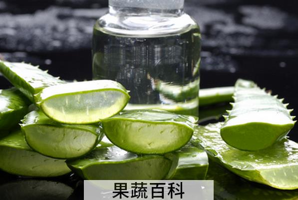果蔬百科芦荟的药用价值与功效