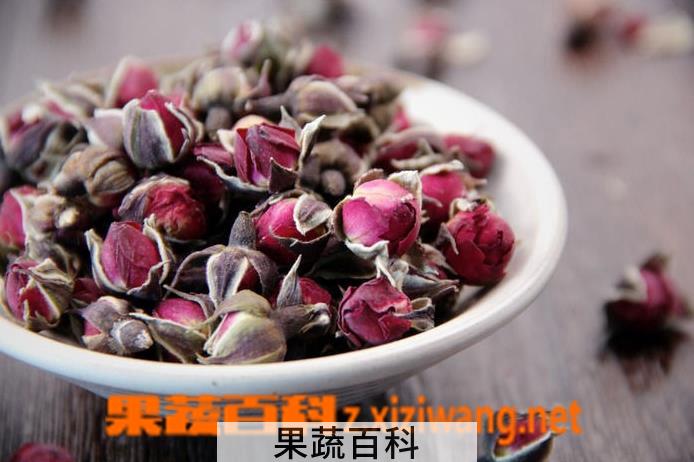 果蔬百科金边玫瑰的养殖方法技巧