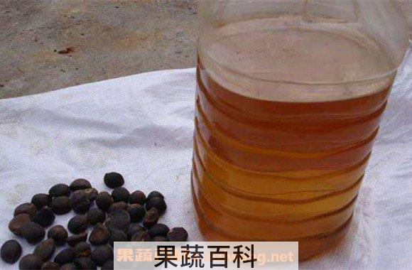 山茶油
