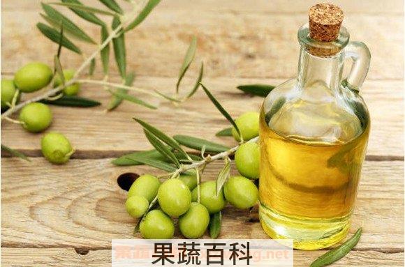 橄榄油