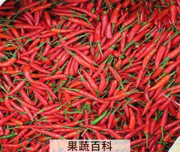 小米椒
