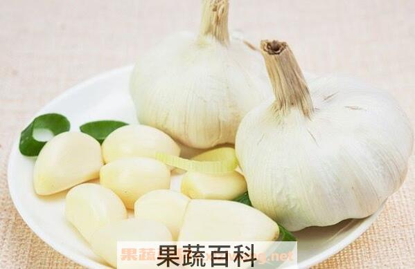 大蒜怎么泡水 大蒜泡水喝有什么功效