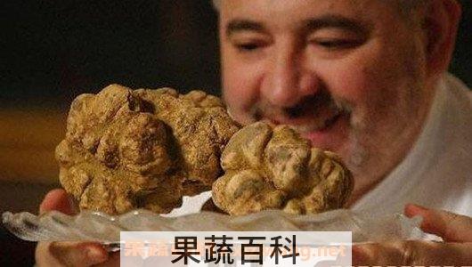 黑松露