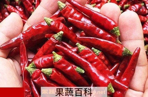 小米椒