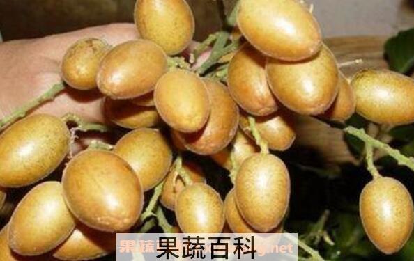 黄皮果泡水的功效作用