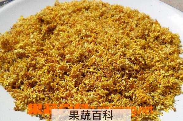 果蔬百科桂花的功效与作用