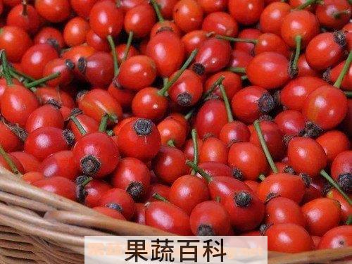 玫瑰籽油