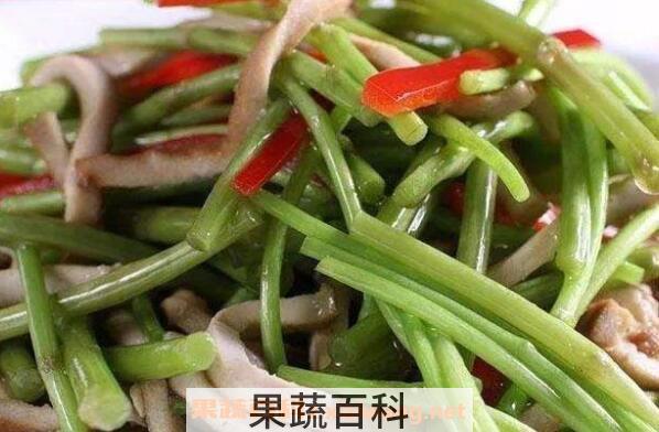 蒌蒿怎么吃 蒌蒿的吃法大全