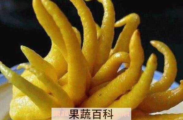 佛手柑的常见吃法
