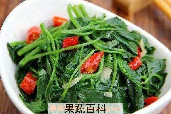 灰菜的功效与作用 灰菜的食用方法