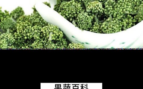 三七花如何食用方法 三七花怎么吃最好