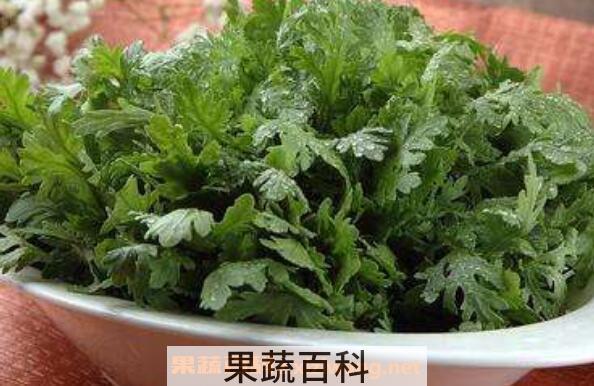 洋蒿的功效和作用