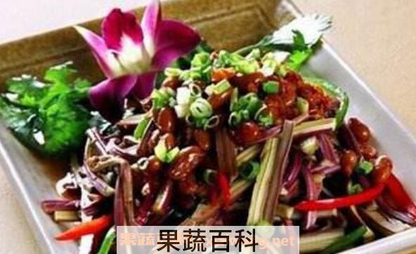 山蕨菜怎么吃 山蕨菜的做法