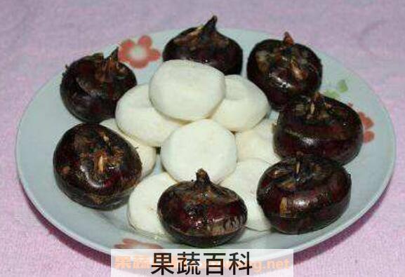 马蹄生吃的功效与作用 马蹄生吃好还是熟吃好