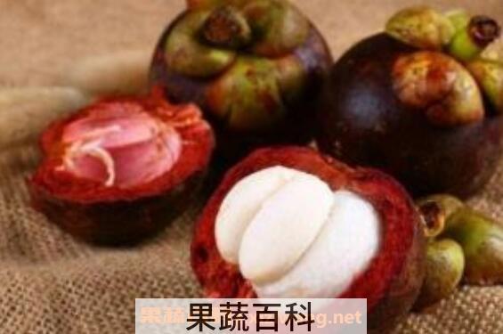 山竹壳的功效与作用 山竹壳有什么用处