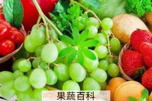 含维生素a的食物有哪些 哪些食物含维生素a丰富