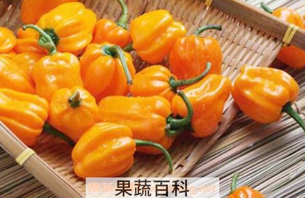 黄辣子怎么做好吃 黄辣椒怎么吃
