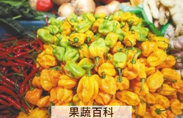 黄辣子怎么做好吃 黄辣椒怎么吃