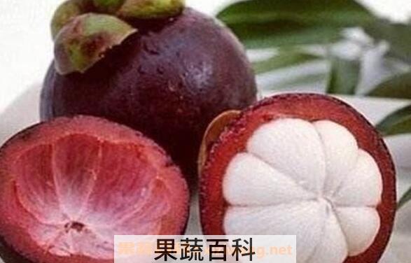 山竹壳怎么吃 山竹壳的正确食用方法