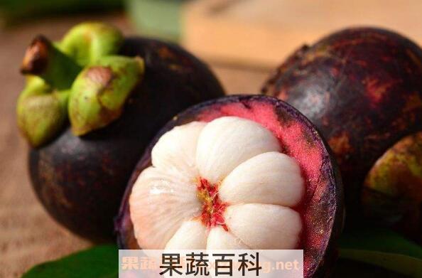 山竹壳怎么吃 山竹壳的正确食用方法