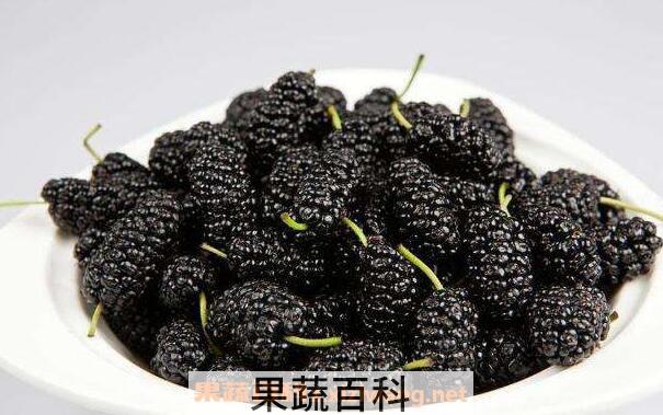 态子葚是什么样子 态子葚的功效与作用