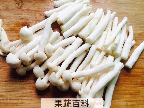 白玉菇