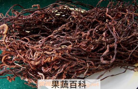 赤蕨的功效与作用
