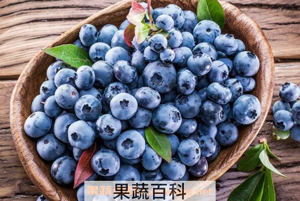 杜松浆果和蓝莓的区别