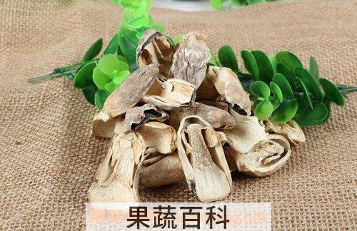 草菇