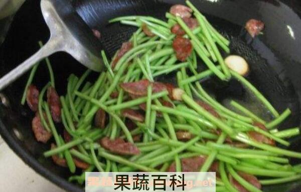 芦篙的功效与作用 芦篙的副作用