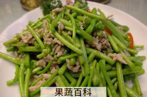 黎蒿的功效与作用 黎蒿的禁忌
