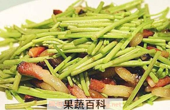 黎蒿的功效与作用 黎蒿的禁忌