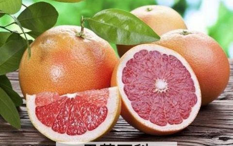 葡萄柚精油的功效与用法用量 葡萄柚精油的功效与作用