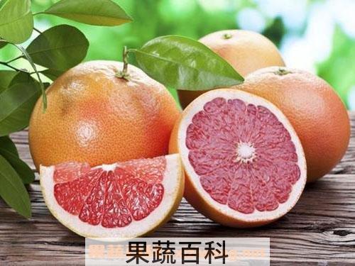 葡萄柚精油