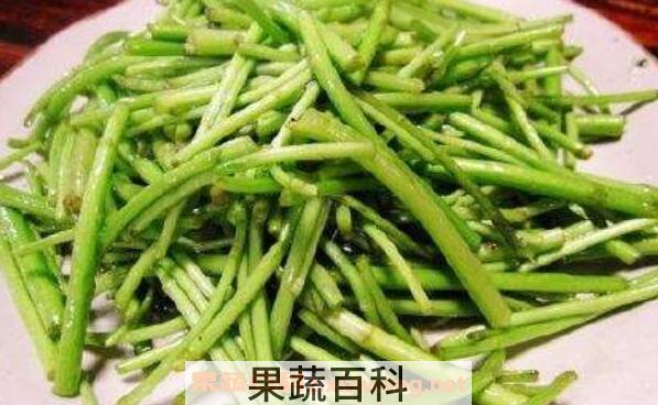 泥蒿怎么吃 不宜食用泥蒿的人群
