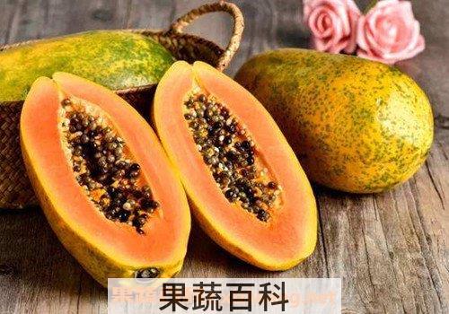 宣木瓜