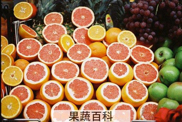 西柚