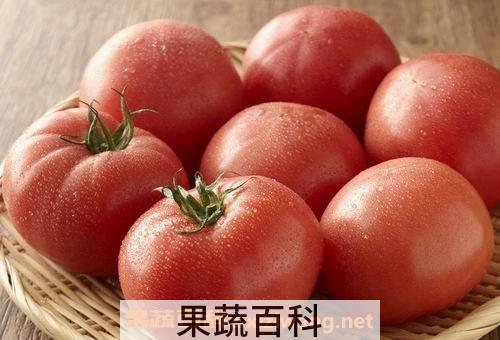 番茄红素