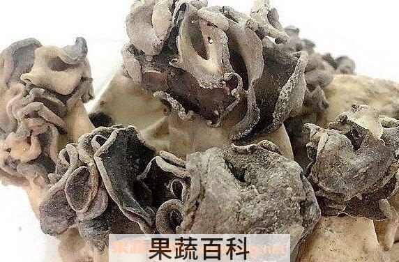  巴楚蘑菇的功效与作用 巴楚蘑菇的药用价值