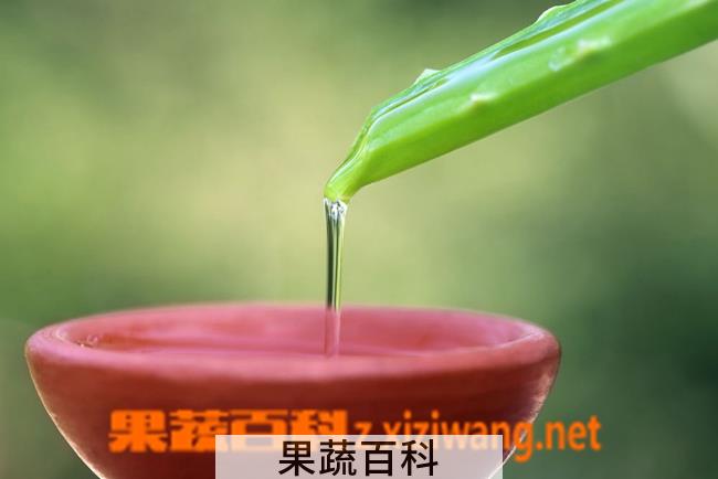 果蔬百科芦荟汁的功效与作用