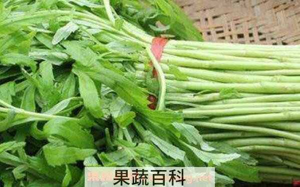 泥蒿和藜蒿的区别 吃泥蒿的好处