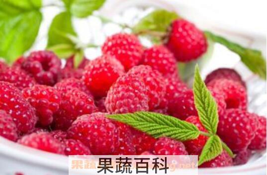树莓和覆盆子的区别 吃树莓的好处