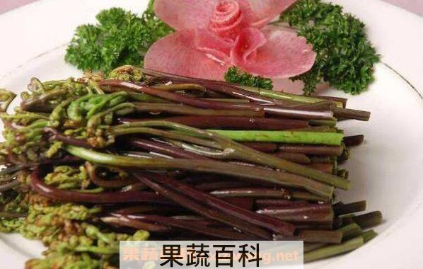 水蕨菜和山蕨菜的差别 吃蕨菜的好处