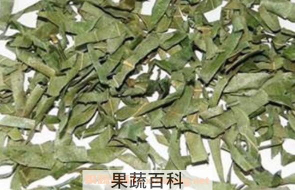 柿子叶的功效与作用 柿子叶能降血糖吗